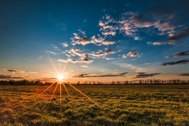 Air Quality Action Days