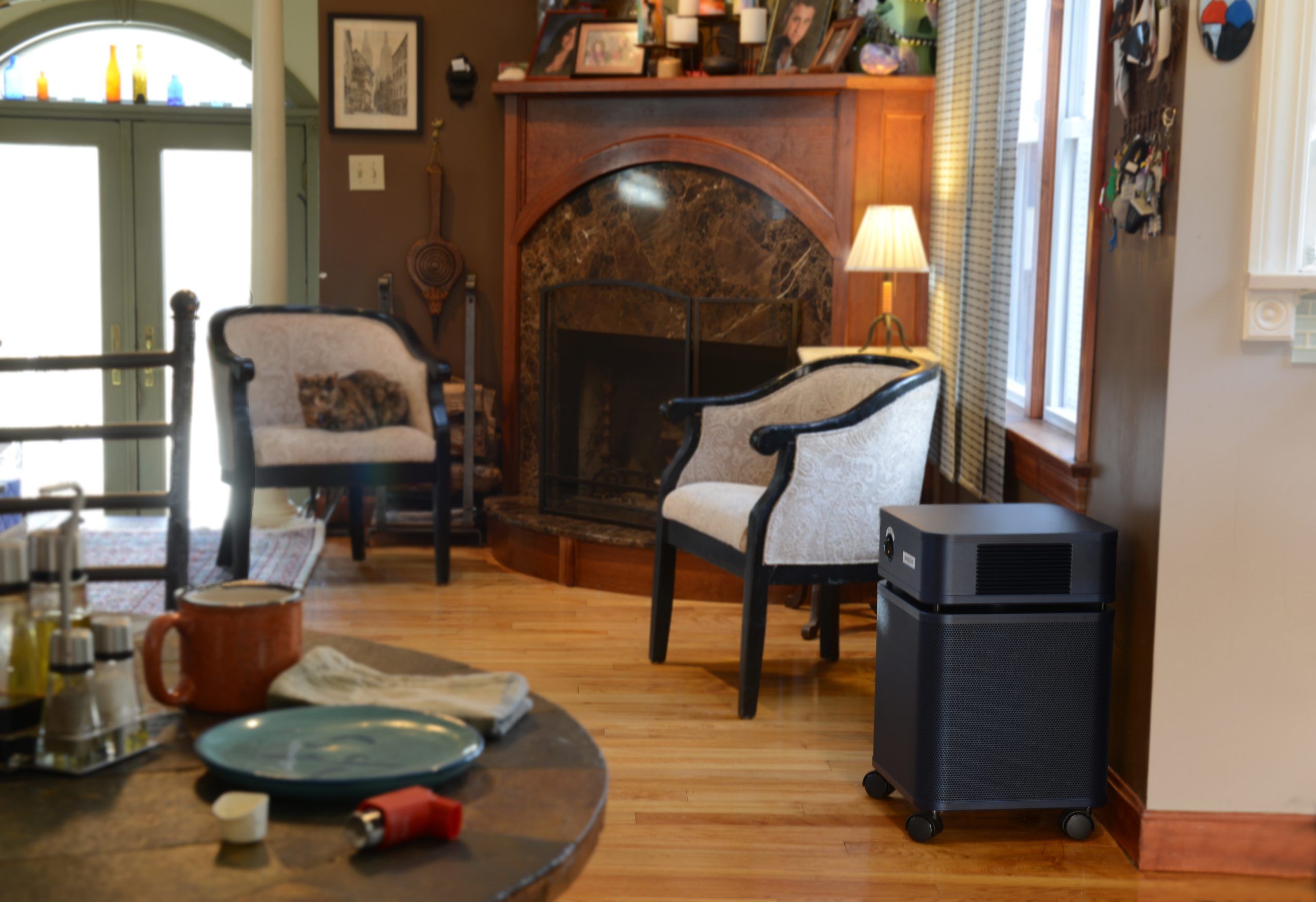 Clinical trial shows Austin Air Purifiers reduce levels of Nitrogen Dioxide in the home.