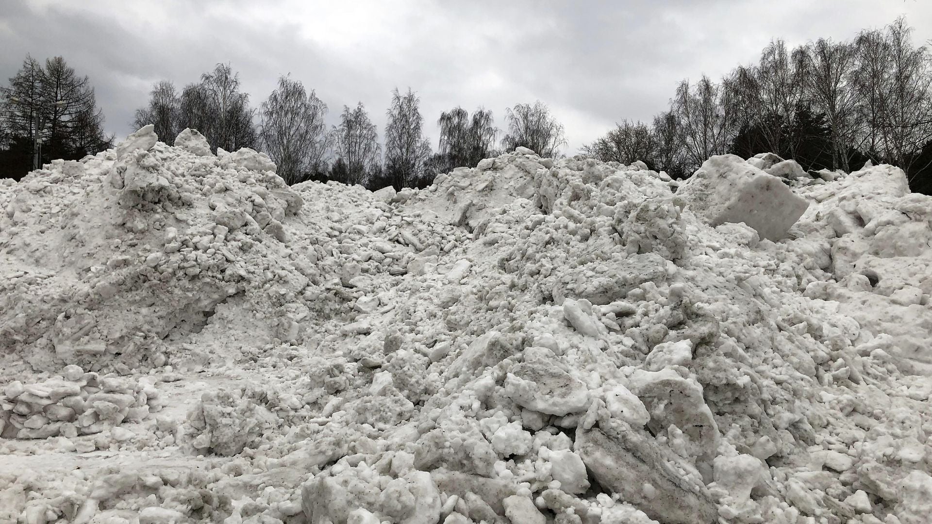 How to Manage Melting Snow (And Possible Mold)