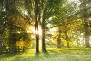 Vitamin D Deficiency Linked to Asthma Attacks