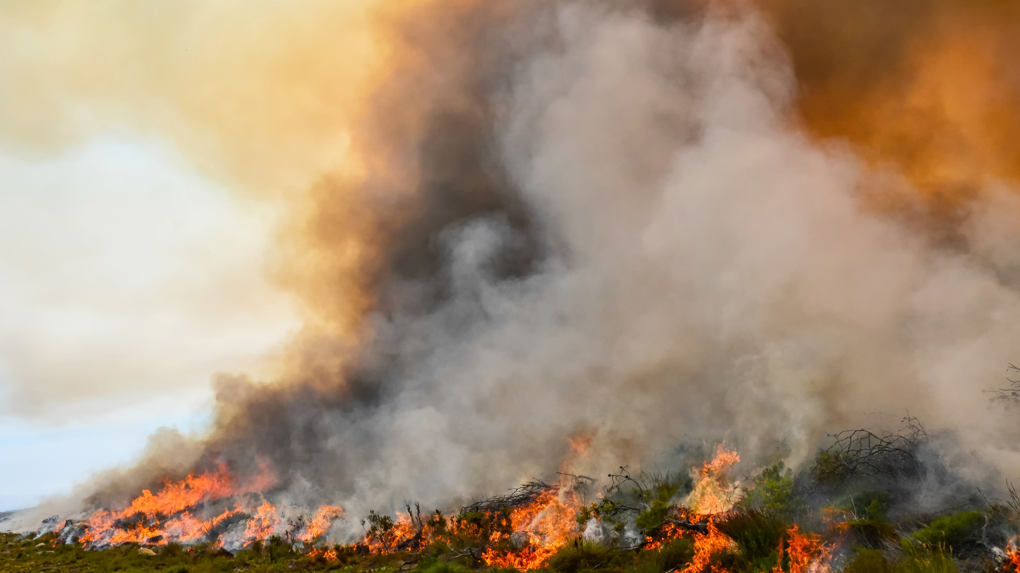 The Combustion of The Country