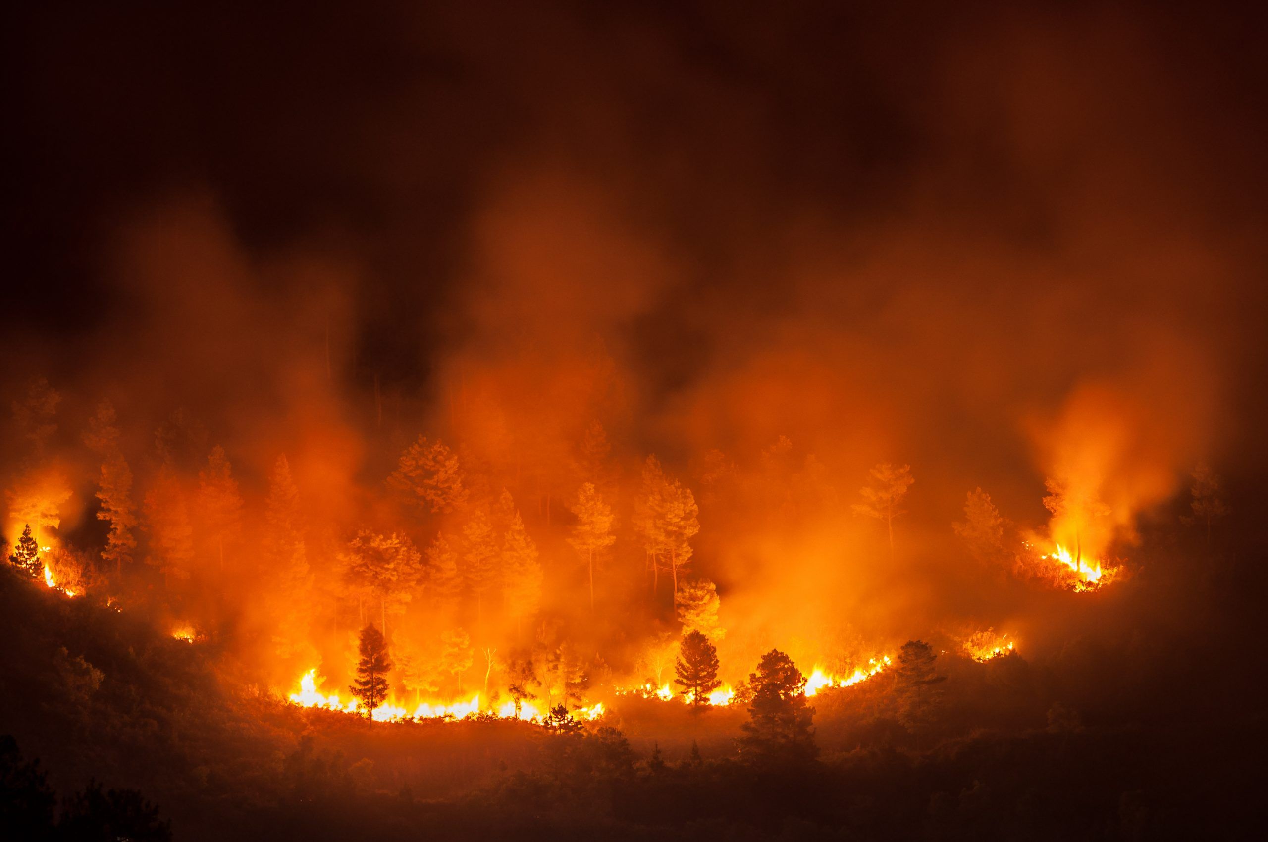 How COVID-19 will affect this year’s wildfire season
