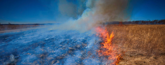 Air Quality Alert in the Midwest and Canadian Prairies