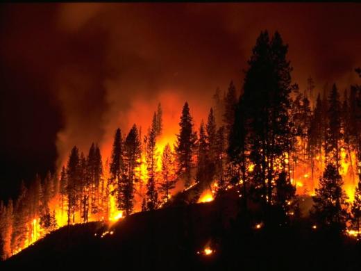 Super fires. Is this the new norm?