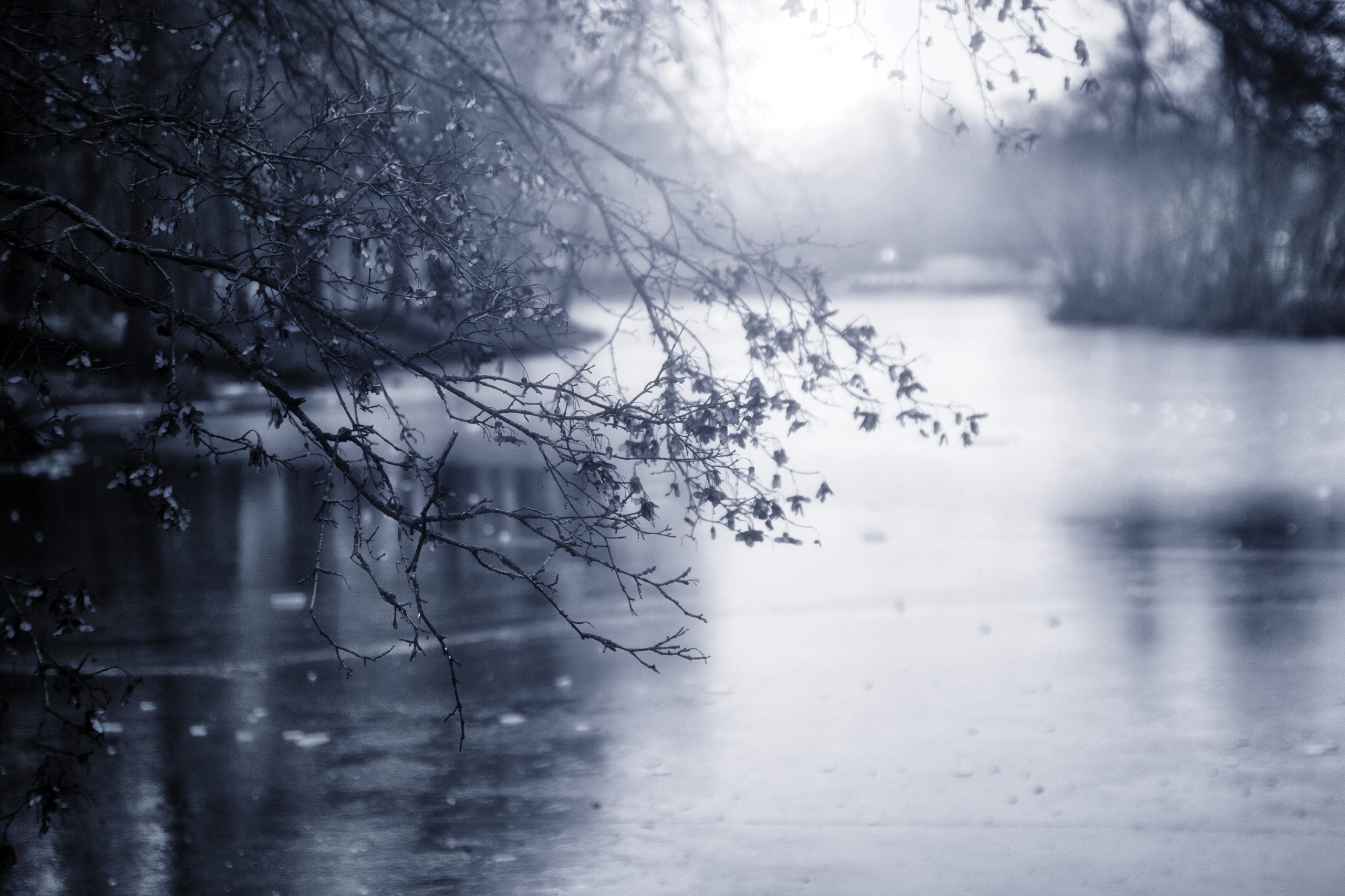 Allergies, a Few Things to Watch Out for This Fall