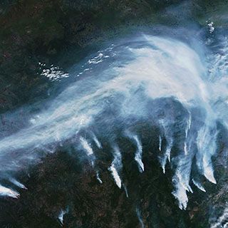 2021 is shaping up to be a bad year for wildfires