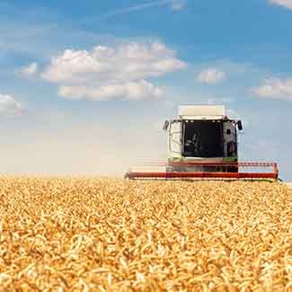 The Effects of Nearby Farming on Indoor Air Quality