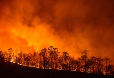 Stay safe this wildfire season