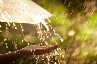 Spring Showers, Mold Matters