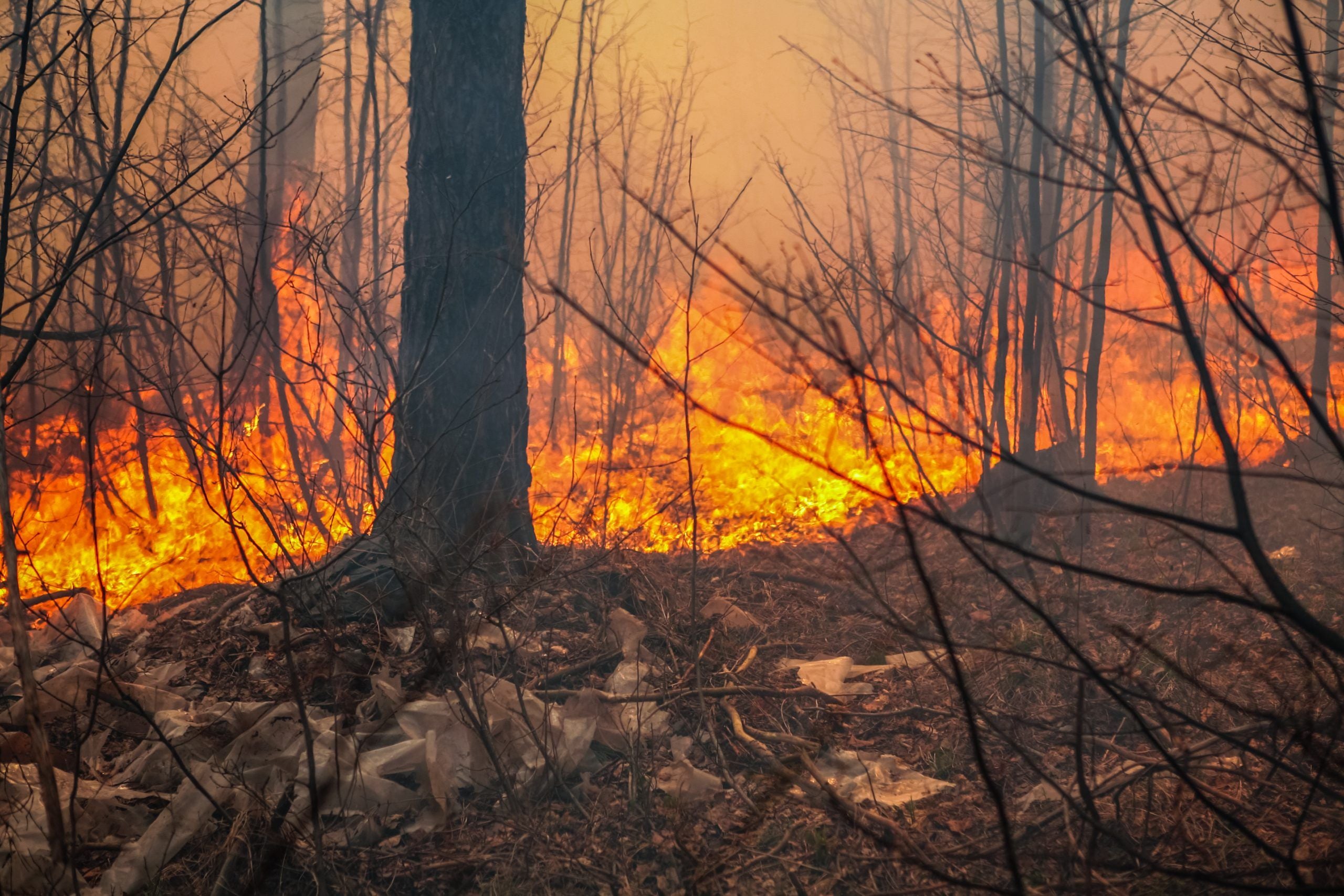 Wildfire Season Starting Early in 2018