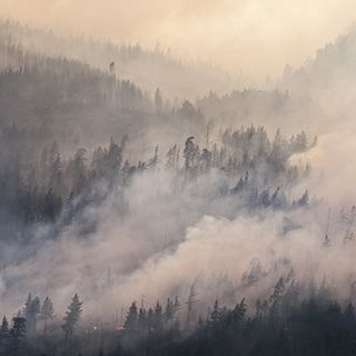 Americans exposed to record levels of smoke