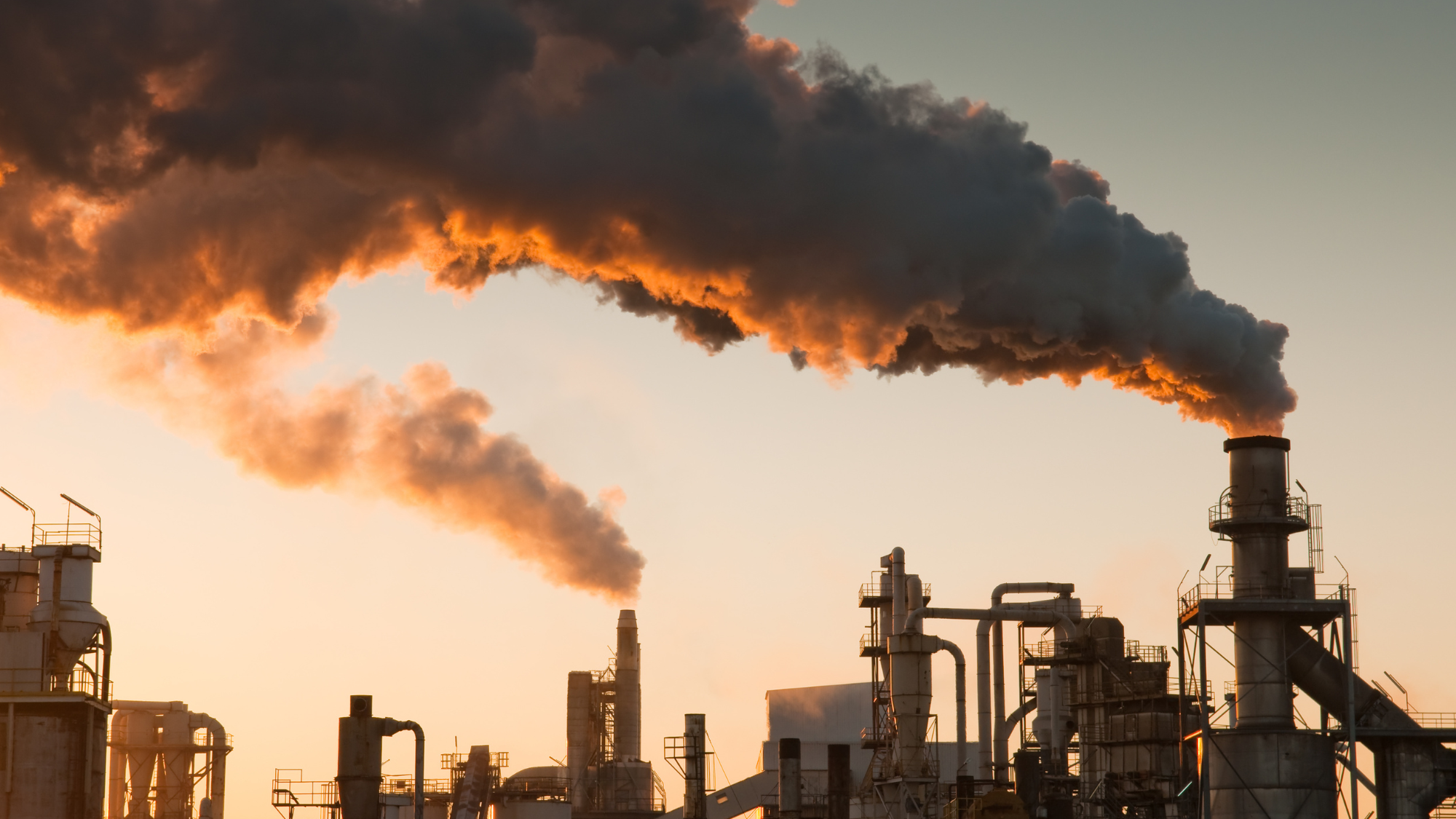How to Detox from Chemical Exposure Series, Part 1: Stop Further Exposure