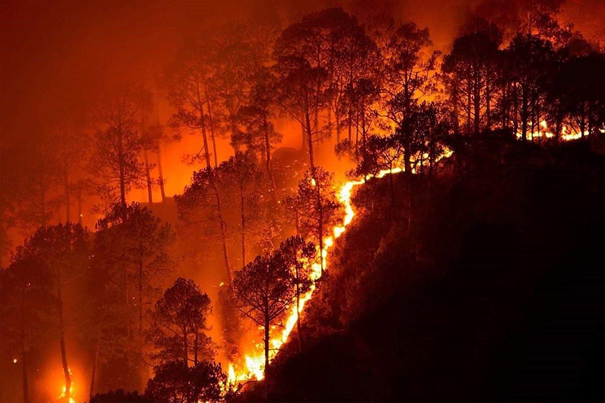 Long lasting effects of wildfire smoke