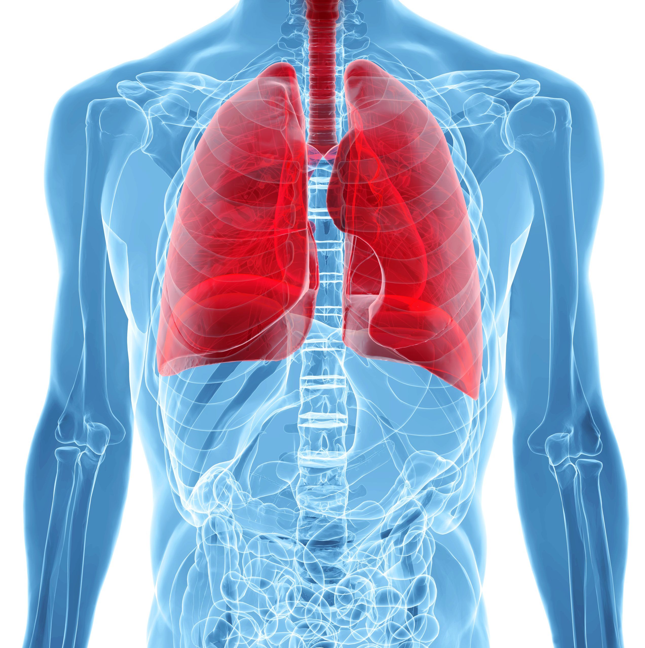 COPD Awareness Month