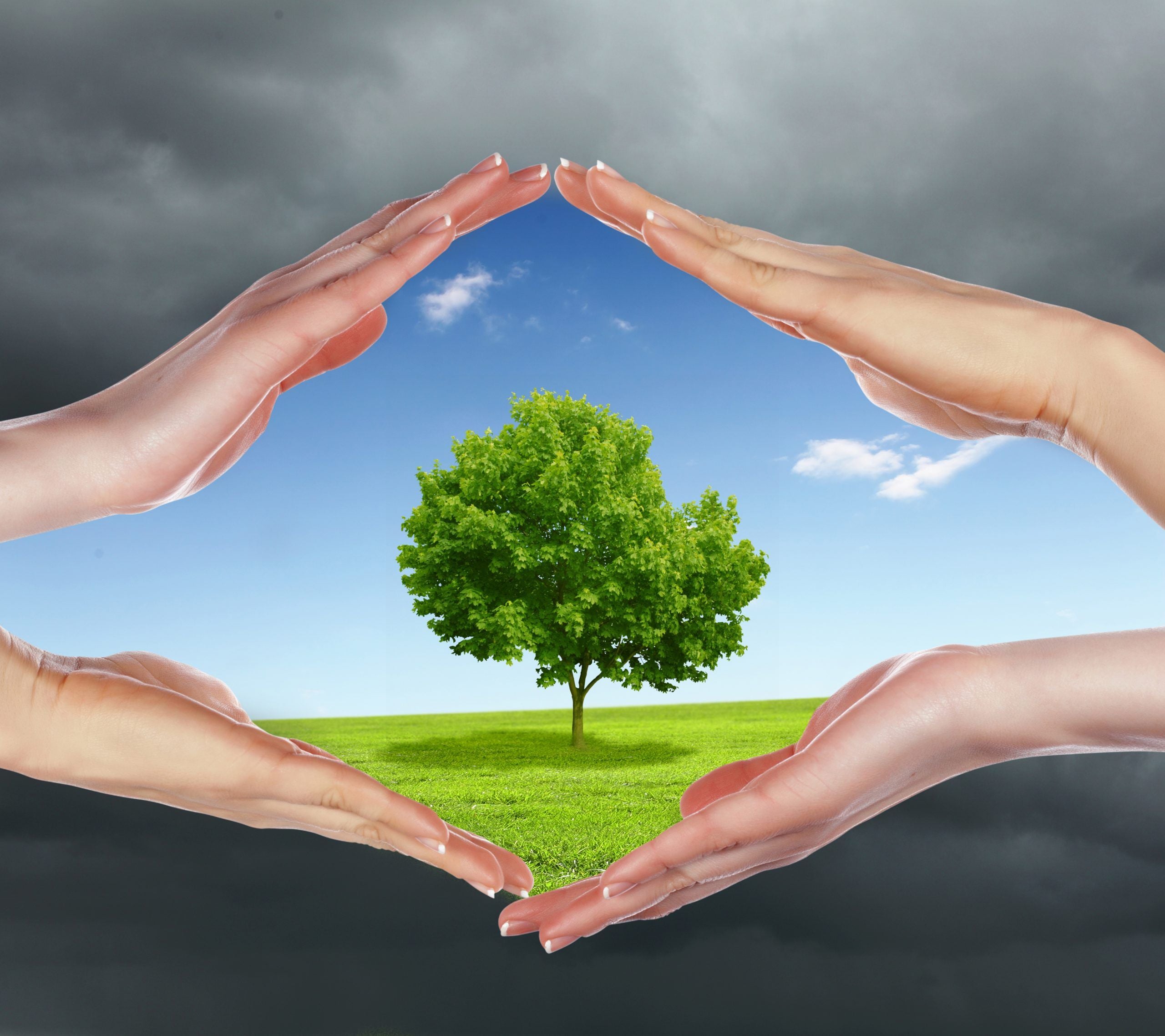 California’s Clean Air Efforts Benefit Children’s Health