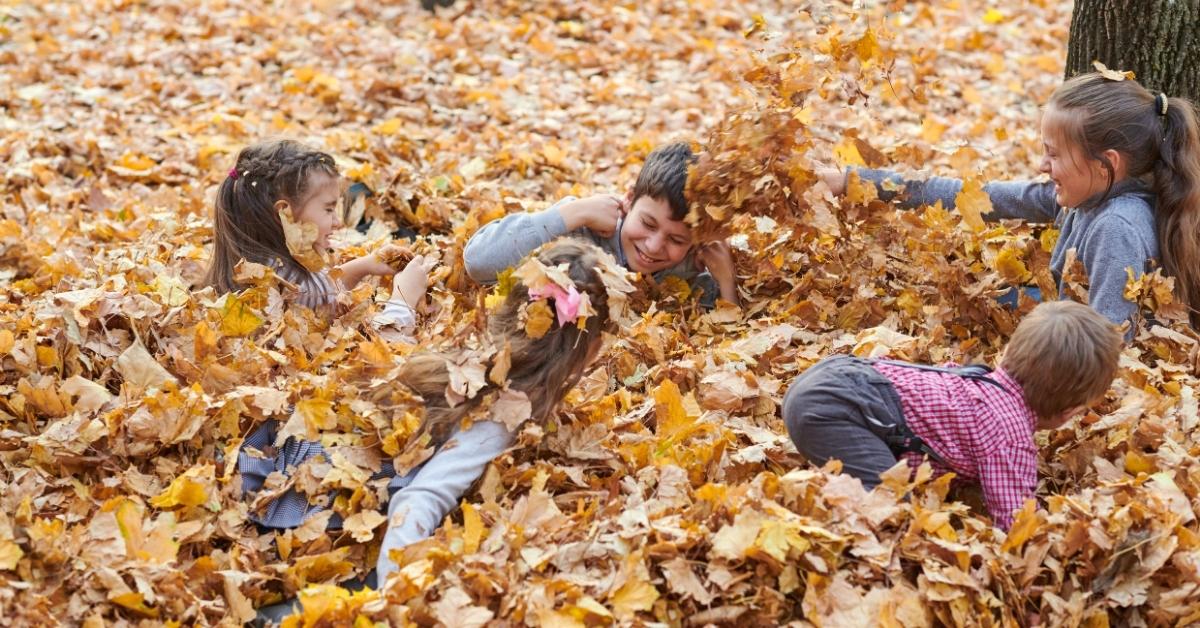 A photo of five children of various ages playing in a pile of fallen leaves in autumn. The kids are smiling. A tree is visible on the right.