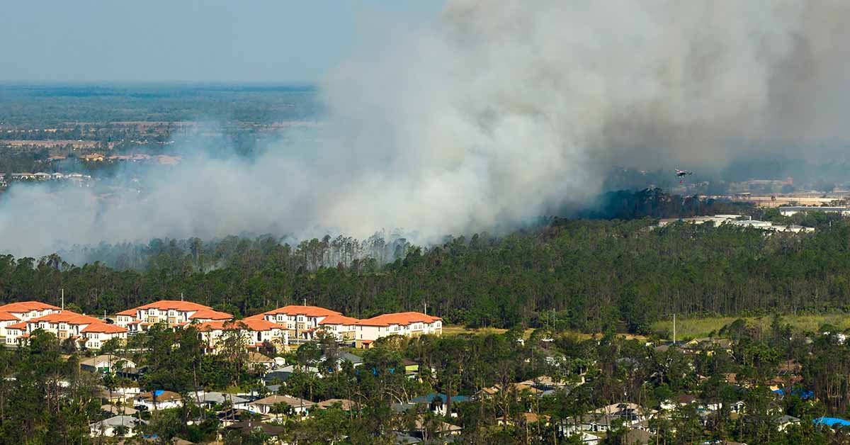 Houses close to woodland area with wildfire smoke