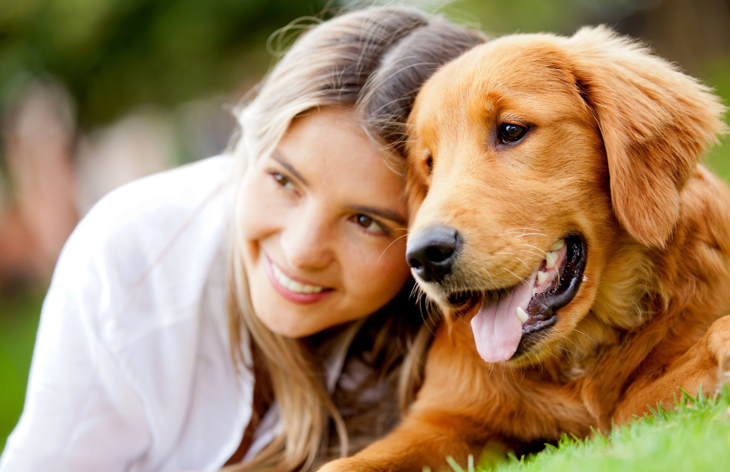 Air pollution is dangerous for our pets too