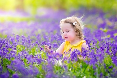 Spring Allergies
