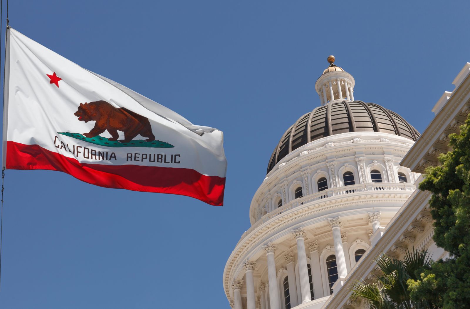 California flag with the state capitol building in the background