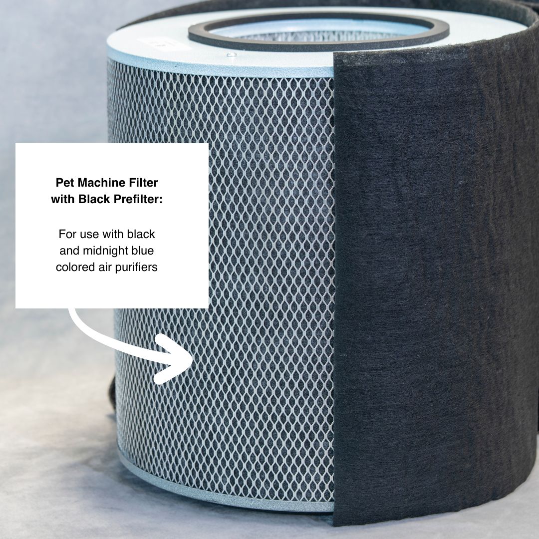 Pet machine filter with black prefilter on a gray background