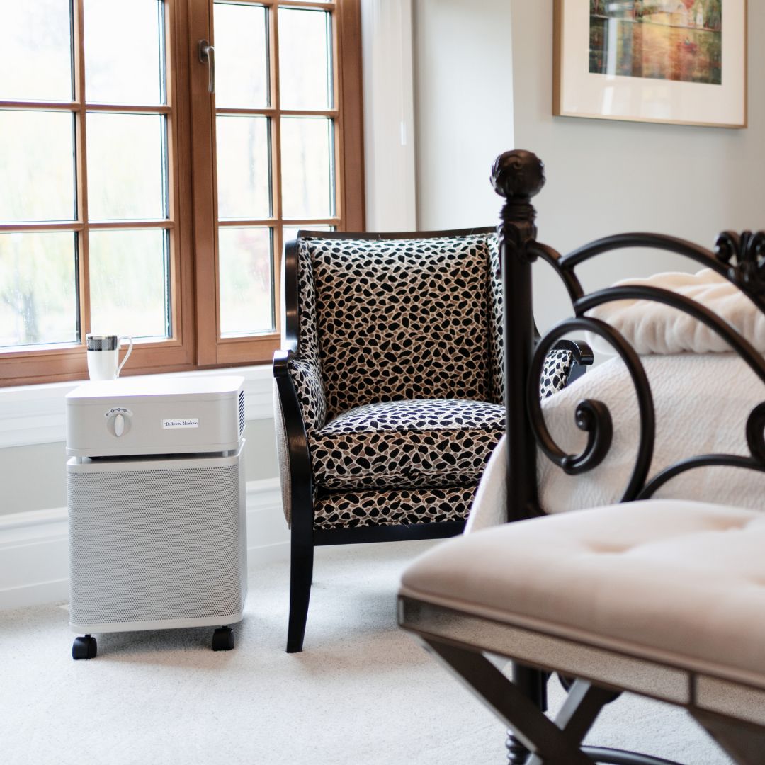 Austin air bedroom machine air purifier in a living room with furniture and a window.